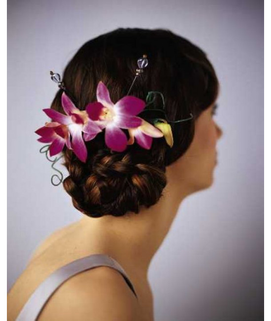 Le Casque d'Orchidée élégant